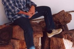 Luis Guitarra